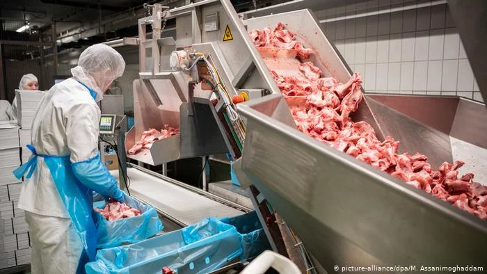 La confessione dei lavoratori stagionali: non vengo mai più in Germania, nemmeno il mondo per darmelo