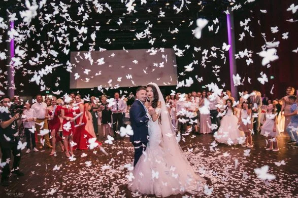 Albanians spend 50-60 thousand euros on wedding and holiday decorations