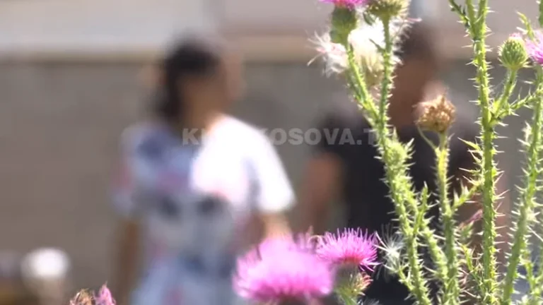 Lipjan: La sposa dice la suocera della cognata (VIDEO) è stata picchiata