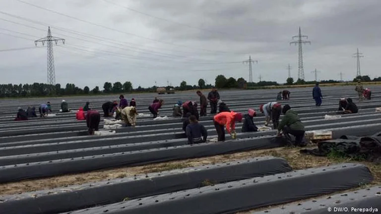 Bad news comes from Germany for Kosovars planning seasonal work there