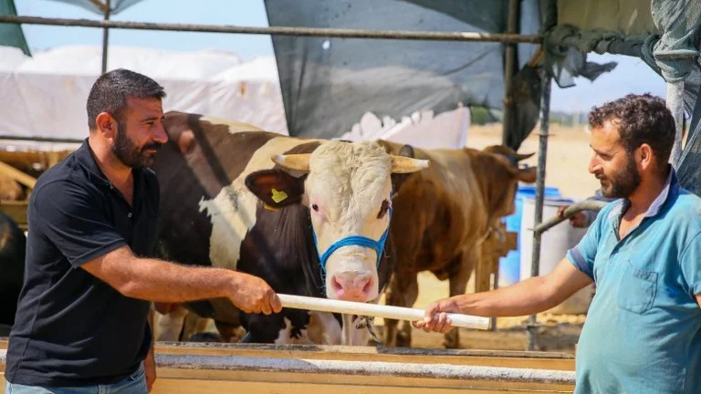Turkish experts alert to virus risk because of Bajrami HINA show what needs to be done