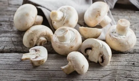 Los machos necesitan comer setas más a menudo, por lo que