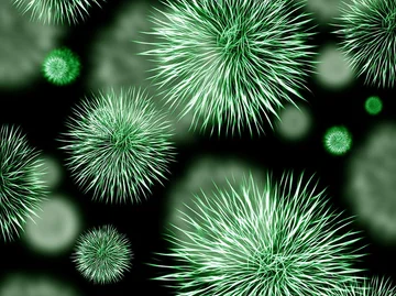 I microbi dallo spazio possono distruggere gli scienziati dell'allarme del sistema immunitario dell'umanità