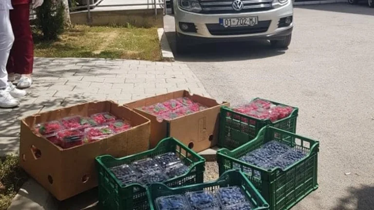 Të infektuarve me koronavirus u dërgohen në spital boronica e mjedra