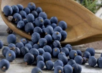 Una tazza di mirtilli al giorno riduce il rischio di malattie cardiache
