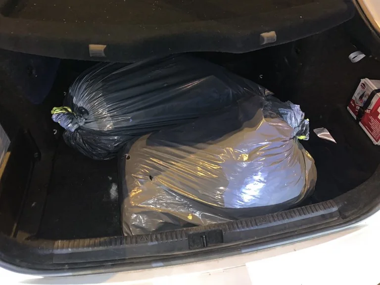 La polizia prende 20 chili di marijuana, scorta cinque persone