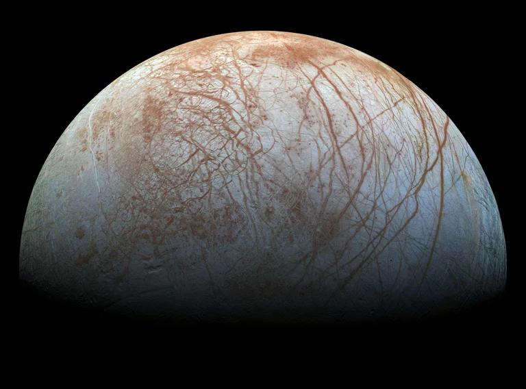Científico británico Top: En la luna de Júpiter hay alienígenas que parecen otopodos