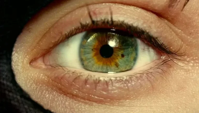 7 Pourquoi les gens verts sont spéciaux
