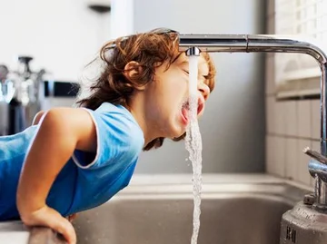 This is the right amount of water we have to consume to be healthy