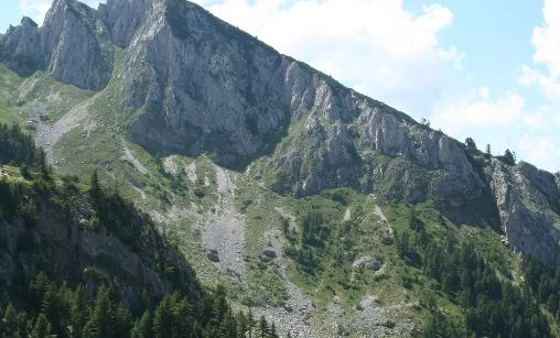 Todesopfer, nachdem ein Baum in Rugova getroffen wurde, polizei verhaftet eine Person