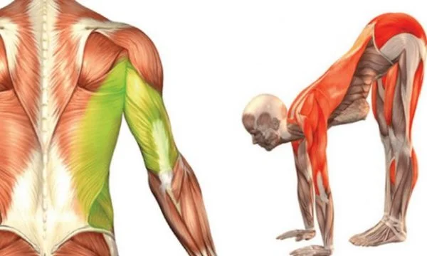4 You Need to make every morning to feel strong