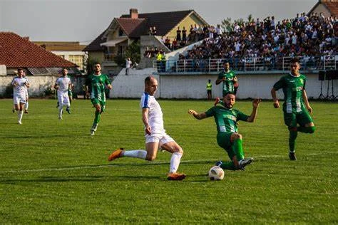 Trepca 89 úshtrria: Dies sind offizielle Formationen.