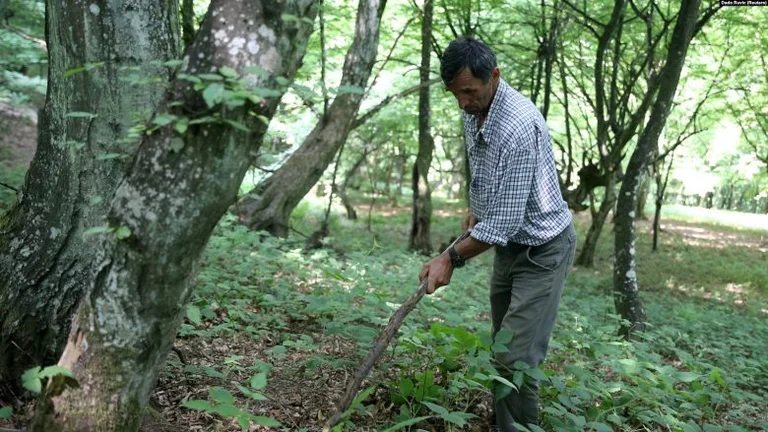 Srebrenica survivor has made a promise to himself
