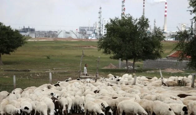La peste nella Cina settentrionale avverte vecchie malattie