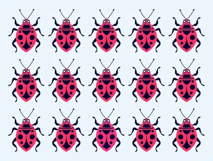 Gjeni insektin që e ka ngjyrën ndryshe nga të tjerët