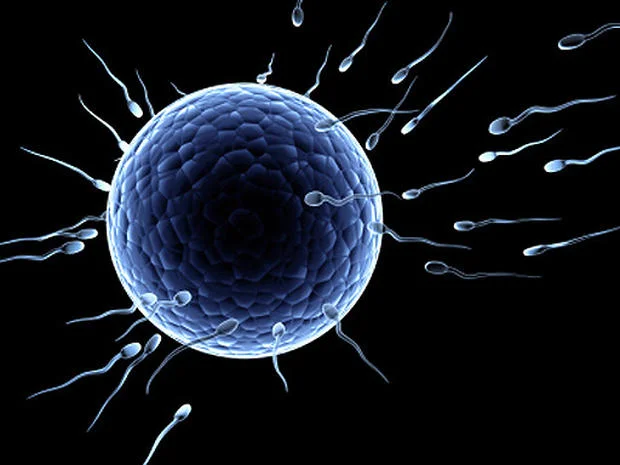 La vita moderna riduce significativamente la fertilità nei maschi