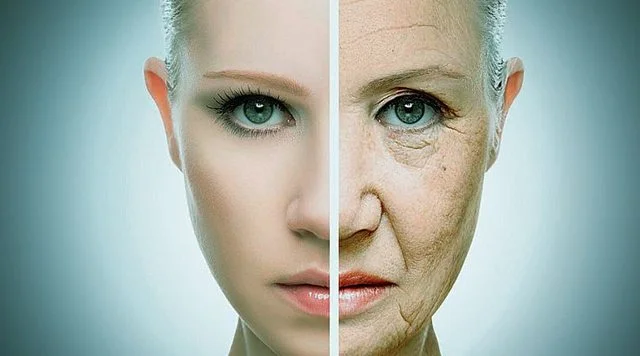 How can you prevent four types of aging? Speaking by Scientists