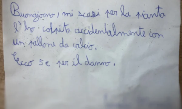 Dëmton lulen e fqinjit me top, fëmija i lë një letër dhe 5 euro dëmshpërblim
