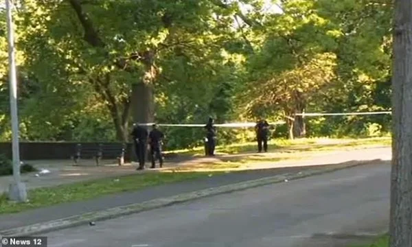 A 19-year-old girl gets killed in New York.