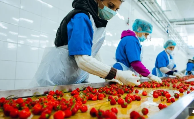 AKS: 33.73% decline in processing industry sector