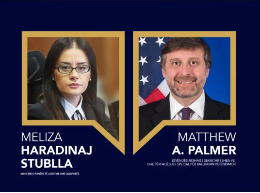 Ministro degli Affari Esteri parla con Palmer al telefono