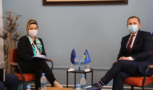 Zemaj-Apostolova discuss EU health projects