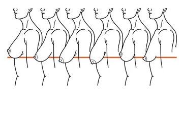 You do it every day, but do you know that these three actions lead to the loss of your chest?