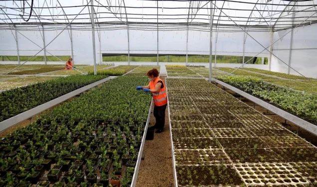 Albania Starts Applications for Farm subsidies