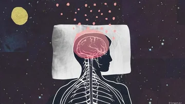 Le cinque cose eccezionali che il tuo cervello fa quando dormi