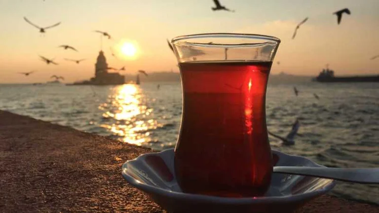 Avoid excessive use of Russian tea, which is how it harms the organism