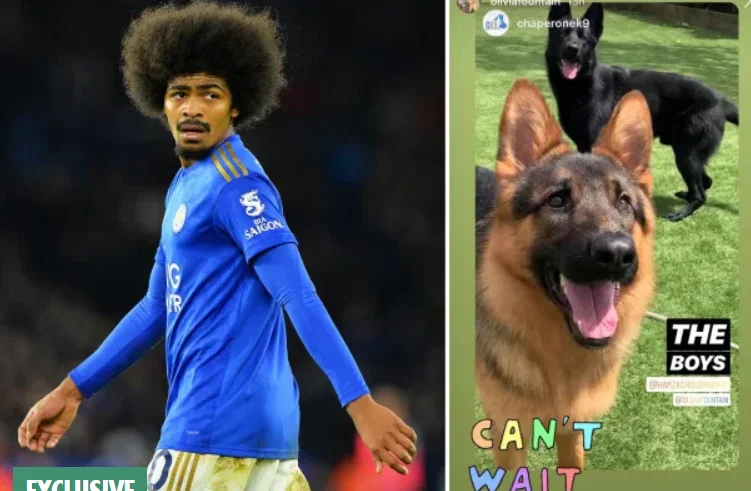 Un amico di quattro piedi: La lista di un cane giovane viene aggiunta a una stella della Premier League