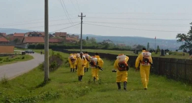 Environ 300 personnes touchées par les tiques à Malisheva