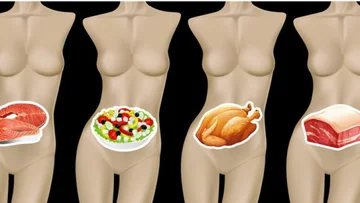Quanto tempo hanno bisogno di digerire? Scopri il momento giusto per tutto quello che mangia