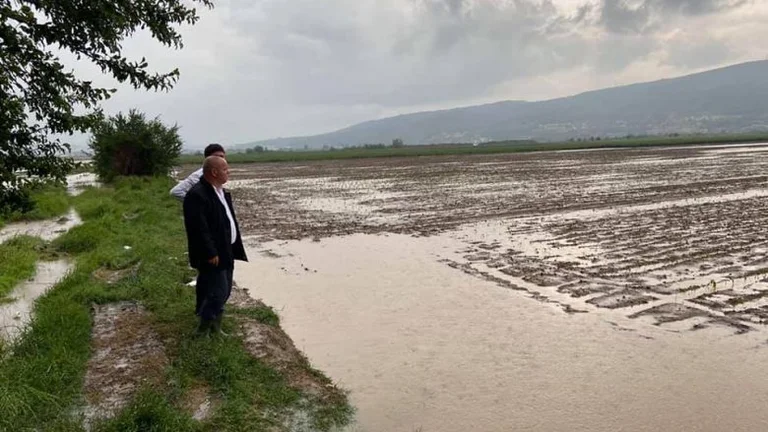 Latif: La lluvia y el granizo dañaron las culturas agrícolas en Rahovec