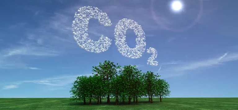 Los límites del coronervirus reducen la cantidad de emisiones de dióxido de carbono