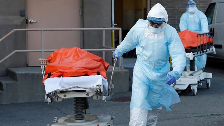 Más de 88 mil muertes de Corleone en Estados Unidos.