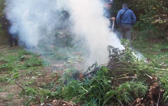 41 Orte zerstört in Kruja gepflanzt werden