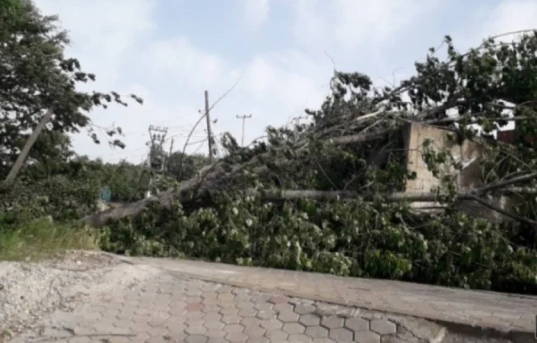 Leistungsstarke Winde beschädigen Strom, mehr in Dukagjin