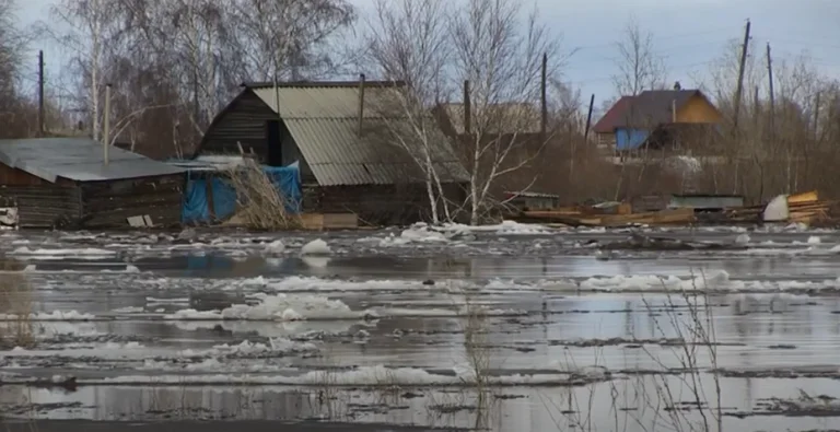 Massive Floods in Siberia in the Mid - Coronact
