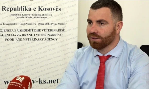 Kosovo verbietet vorübergehend den Import von Eiern aus Nordmazedonien