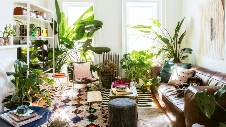 The things plant growers must know for the first time