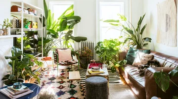 The things plant growers must know for the first time