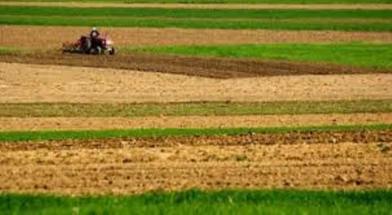 A person is found dead in the field, working there