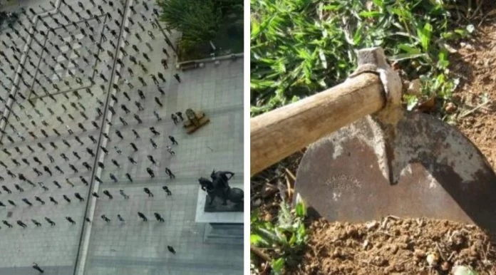 In the square, 500 people were gathered, and the state was silent, in a village of Llap two farmers were sentenced to 150 euros for going out to door