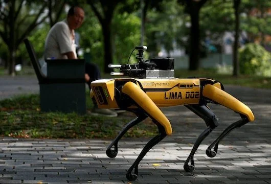 Robot dogs are created that will help with social distance