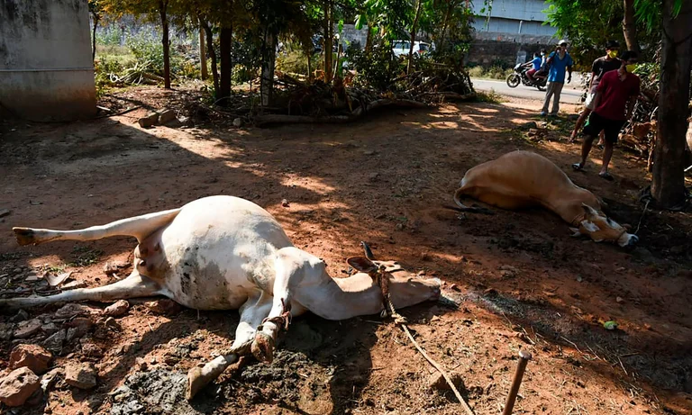 Tragédie en Inde: fuites de gaz dans l'usine chimique, rapports de milliers d'hospitalisés et de nombreux morts