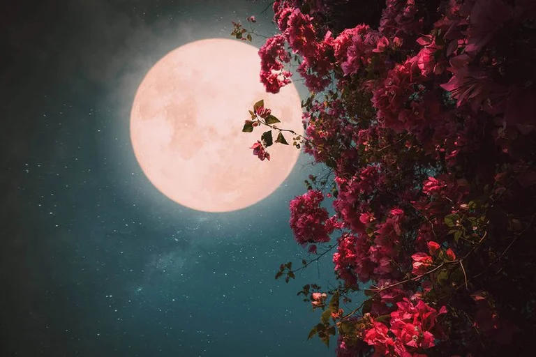 Super Moon in Skorpion: Wie das Horoscope Marks beeinflussen wird