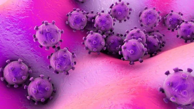 Scientists say that a more infectious type of coronary has swept the earth