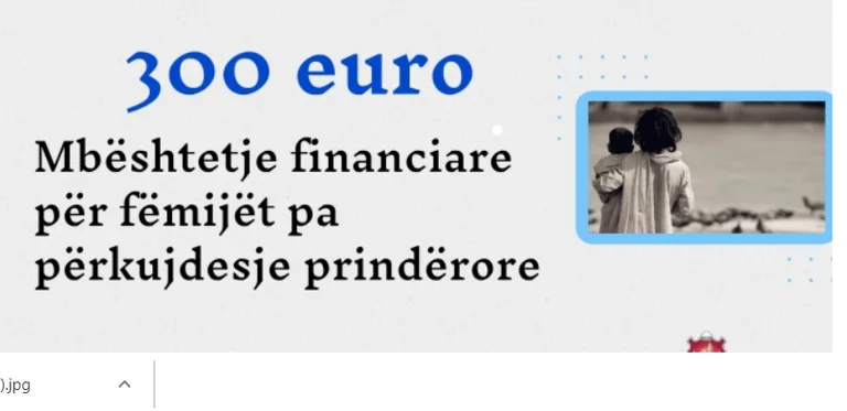 Sur 300 euros pour les enfants sans attention parentale à Lipjan