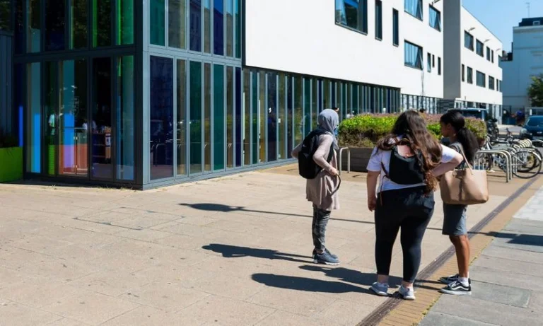 Students say they're missing out on online teaching.
